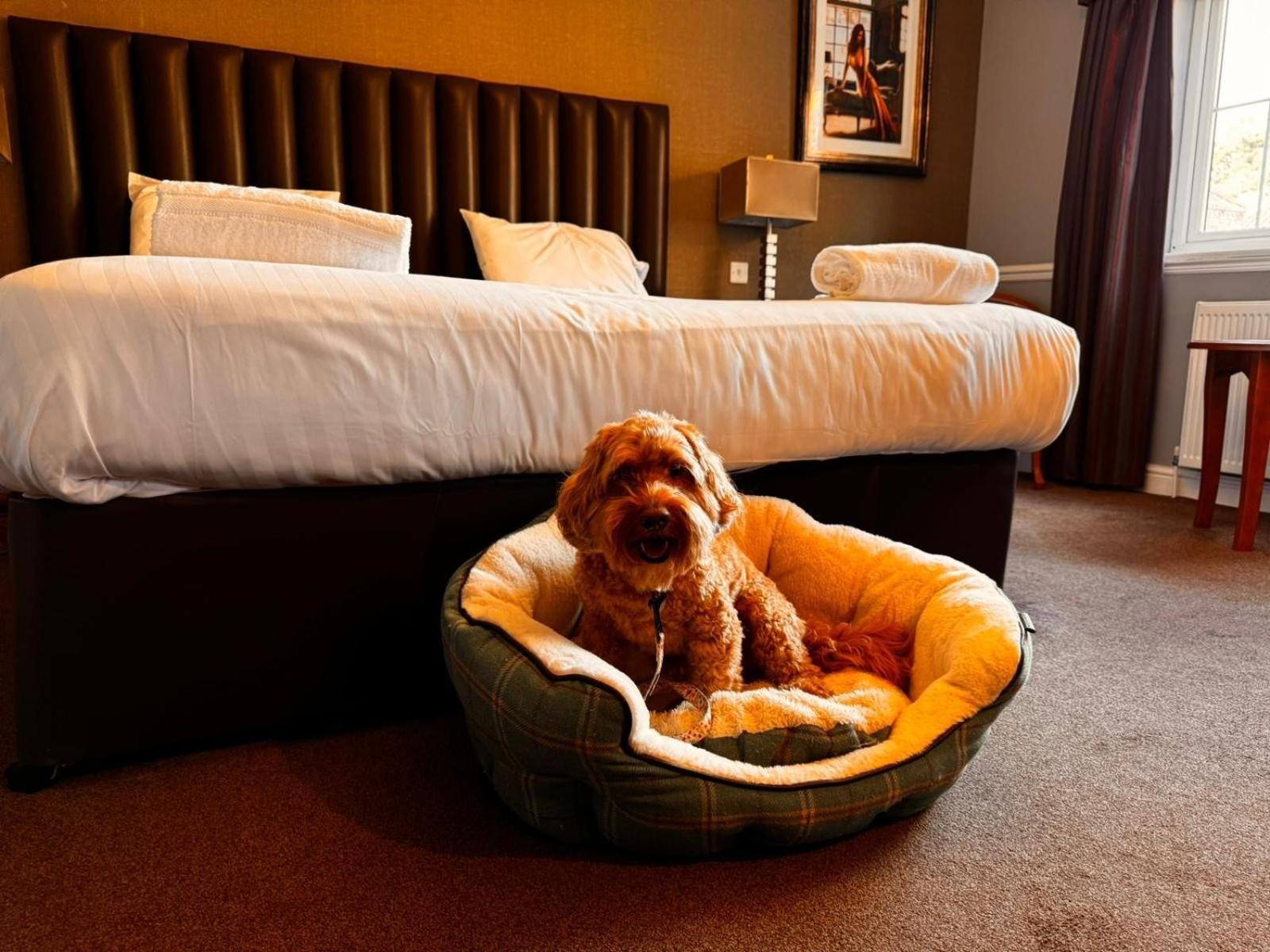 The Ashbourne Hotel North Killingholme Dış mekan fotoğraf