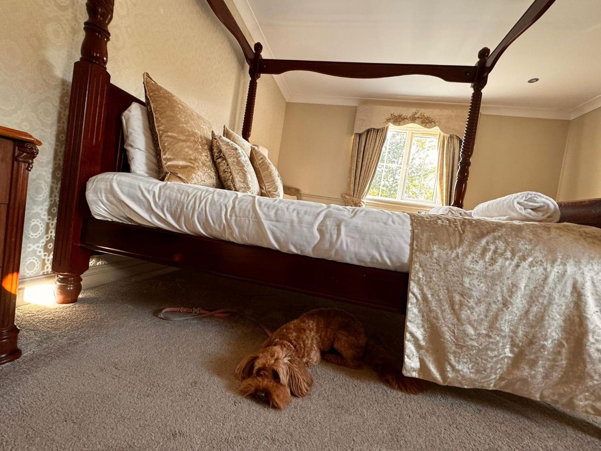 The Ashbourne Hotel North Killingholme Dış mekan fotoğraf